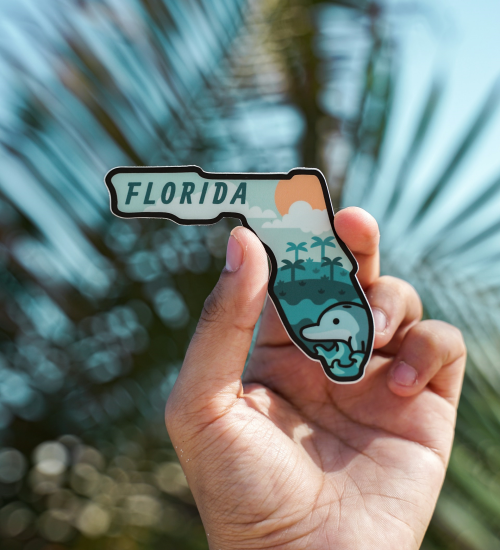 florida magnet